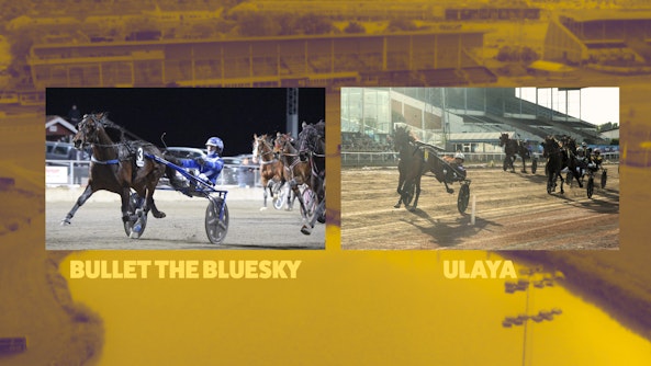 BULLET THE BLUESKY