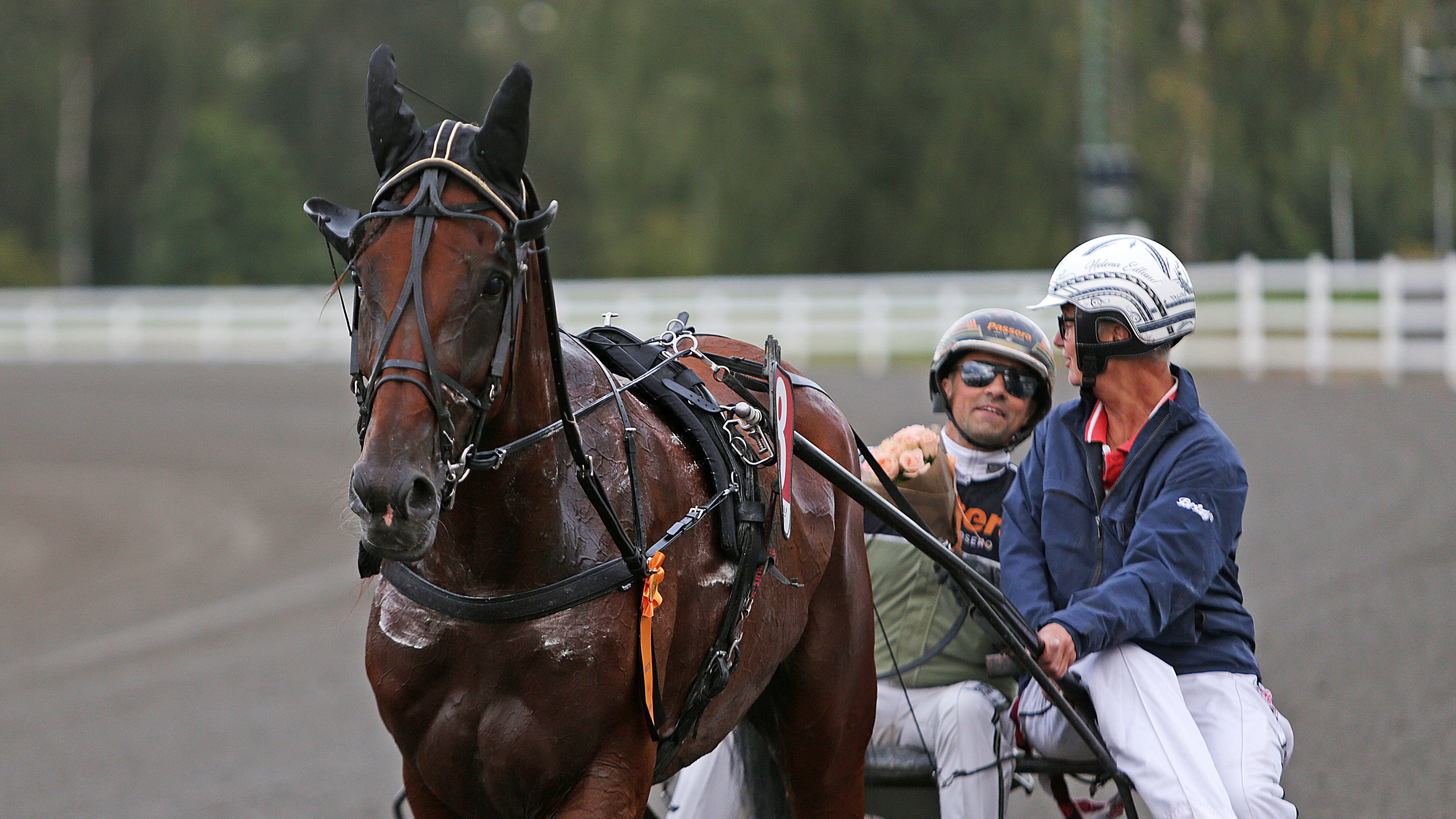 Christian Sandholm travtips