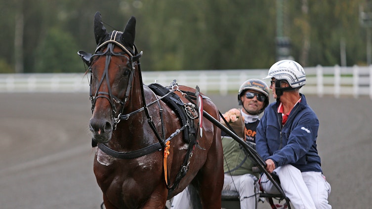 Travtips V85 Analys Åby - Spiken behöver inte tur för att vinna