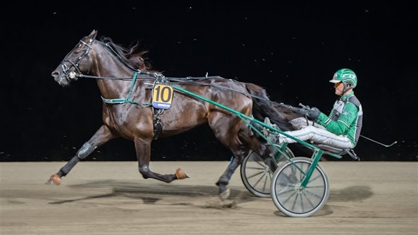 Castor The Star