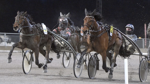 Caviar From Mine. Foto: ALN Pressbild