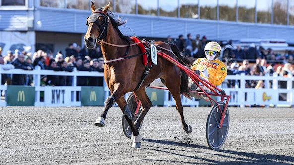 Clarissa 20ma CC 8 Al 20379 20 1