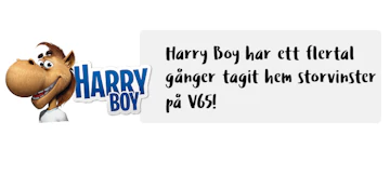 Harry Boy pa V65 2