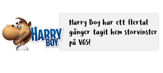 Harry Boy pa V65 2