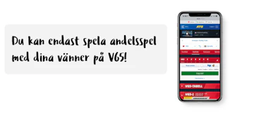 Andelsspel v65 ny