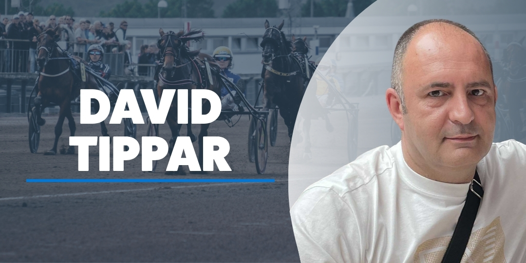 David  Dabeskovic travtips