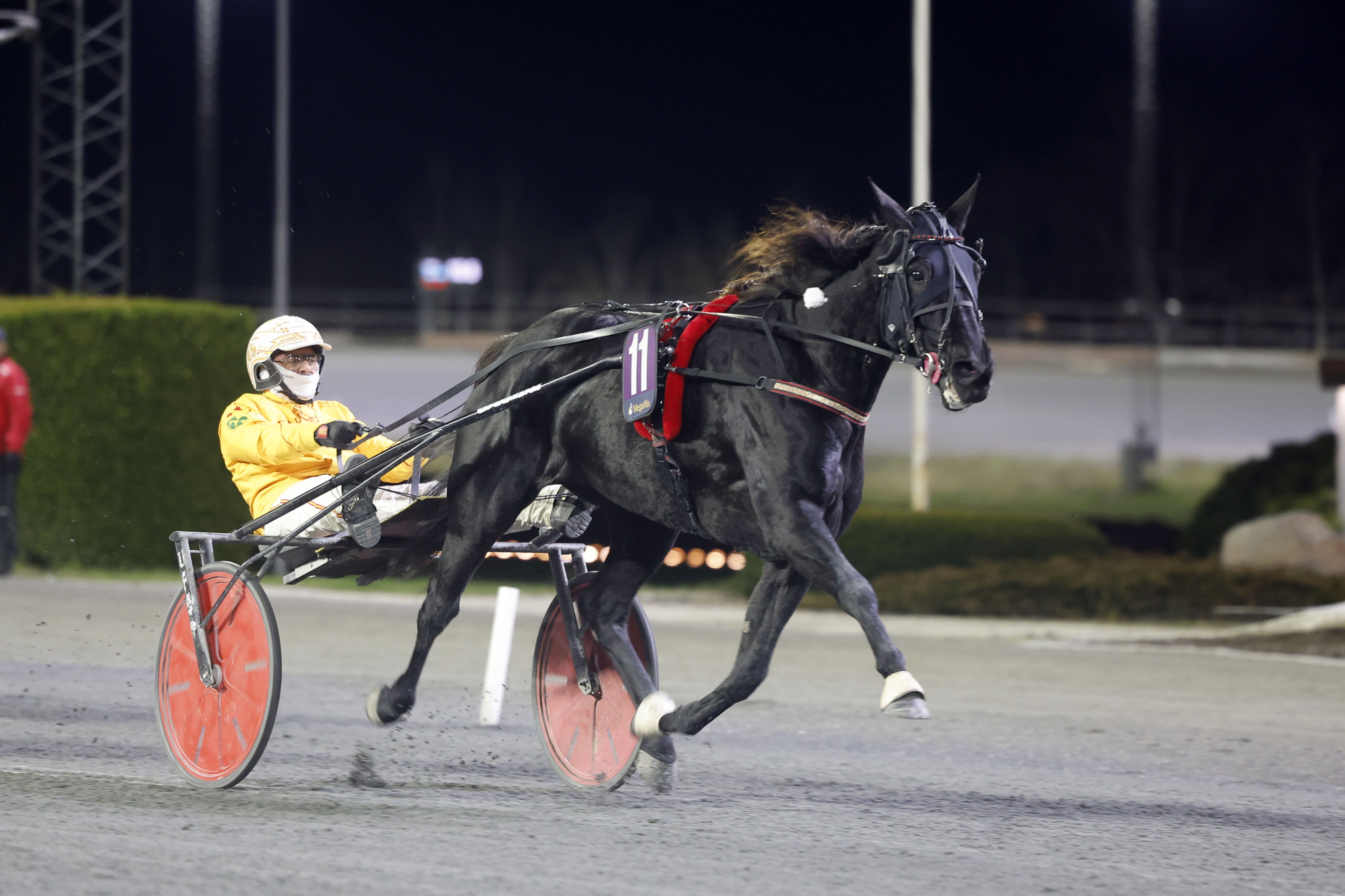 Christian Sandholm travtips
