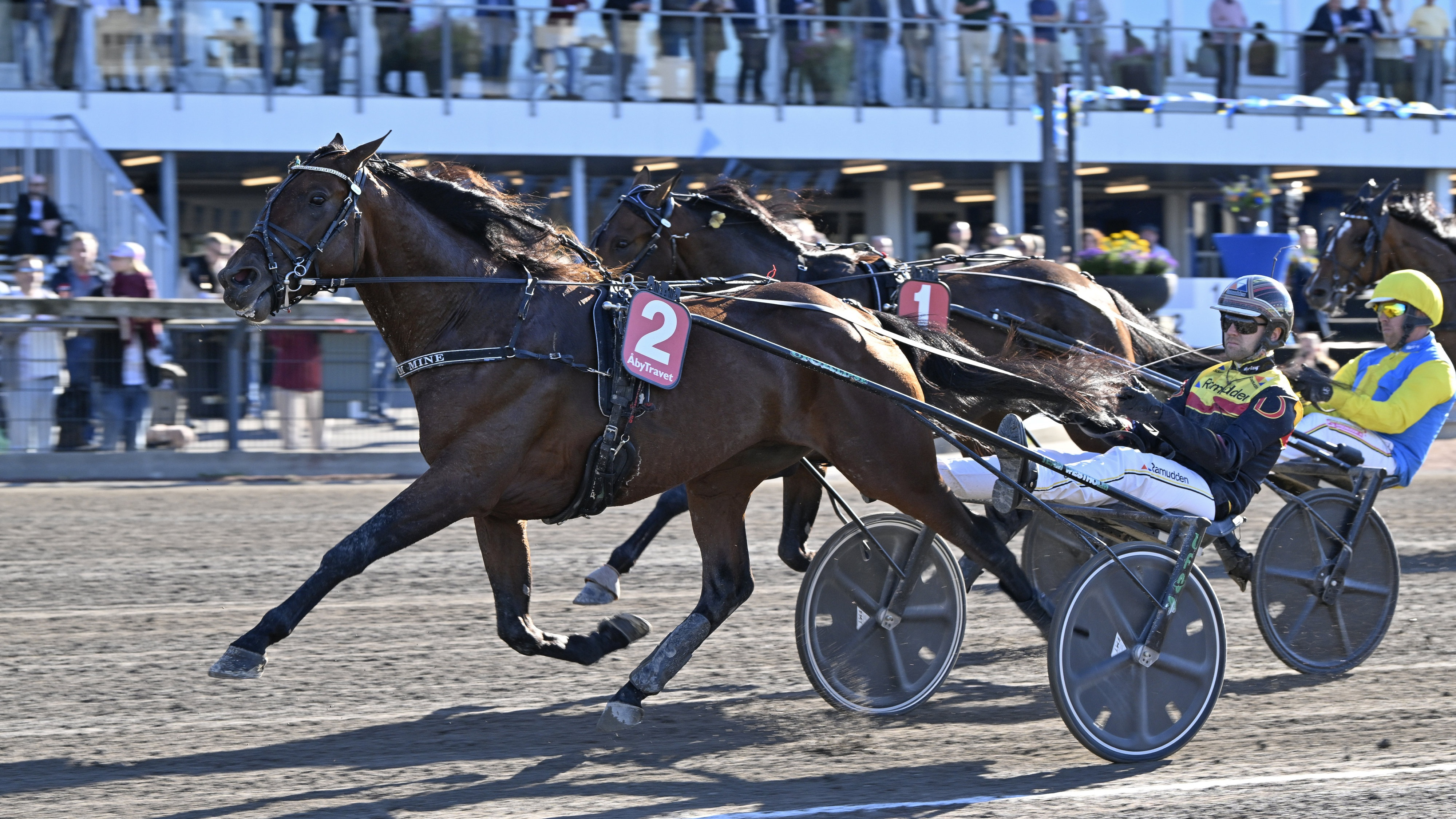 Travtips V85: Drömstart på semifinalerna!