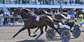 Martin Engström travtips