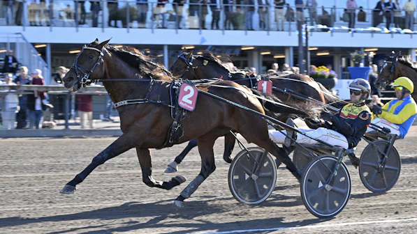 Dream Mine. Foto: ALN Pressbild