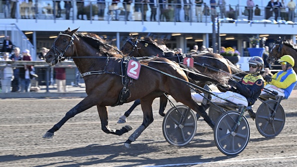 Dream Mine mal 2 2 Cropped