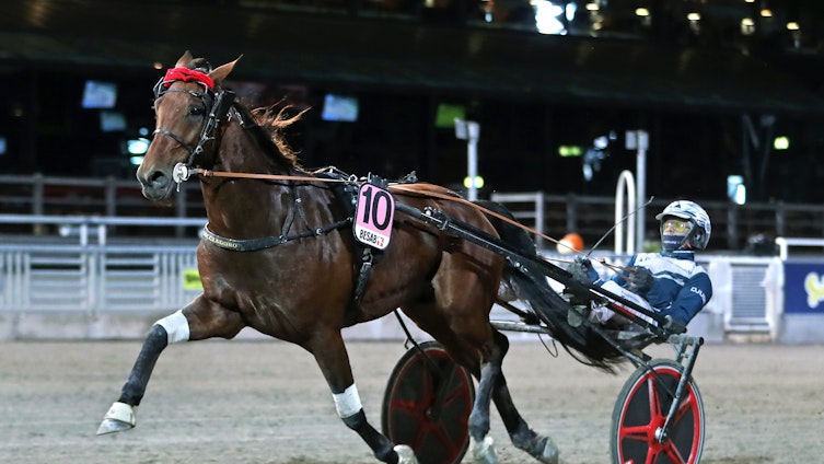 Travtips V75 - Derbylördagen: Silver blir kul!