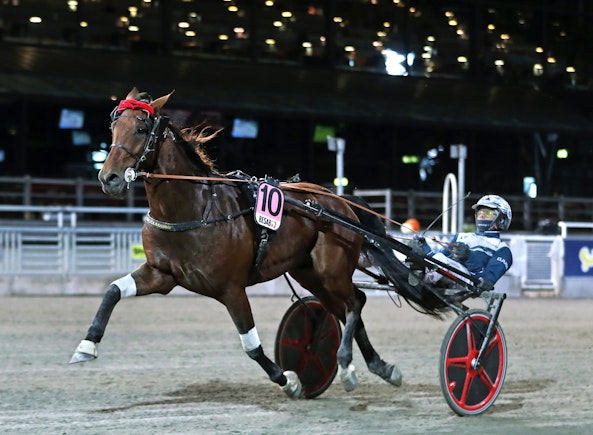 Eldorado Jet m A l 1