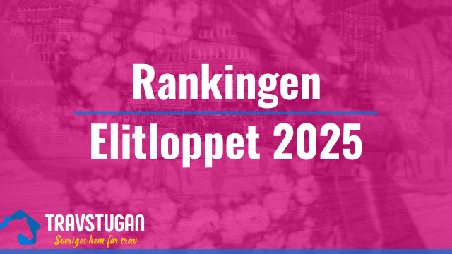 Elitlippet 2025