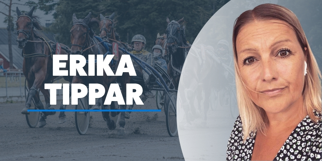 Erika Pajari travtips
