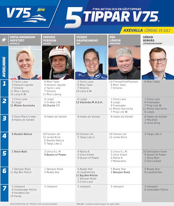 Fem tippar V75 v29