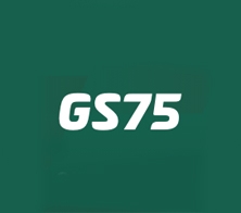 GS75-tips