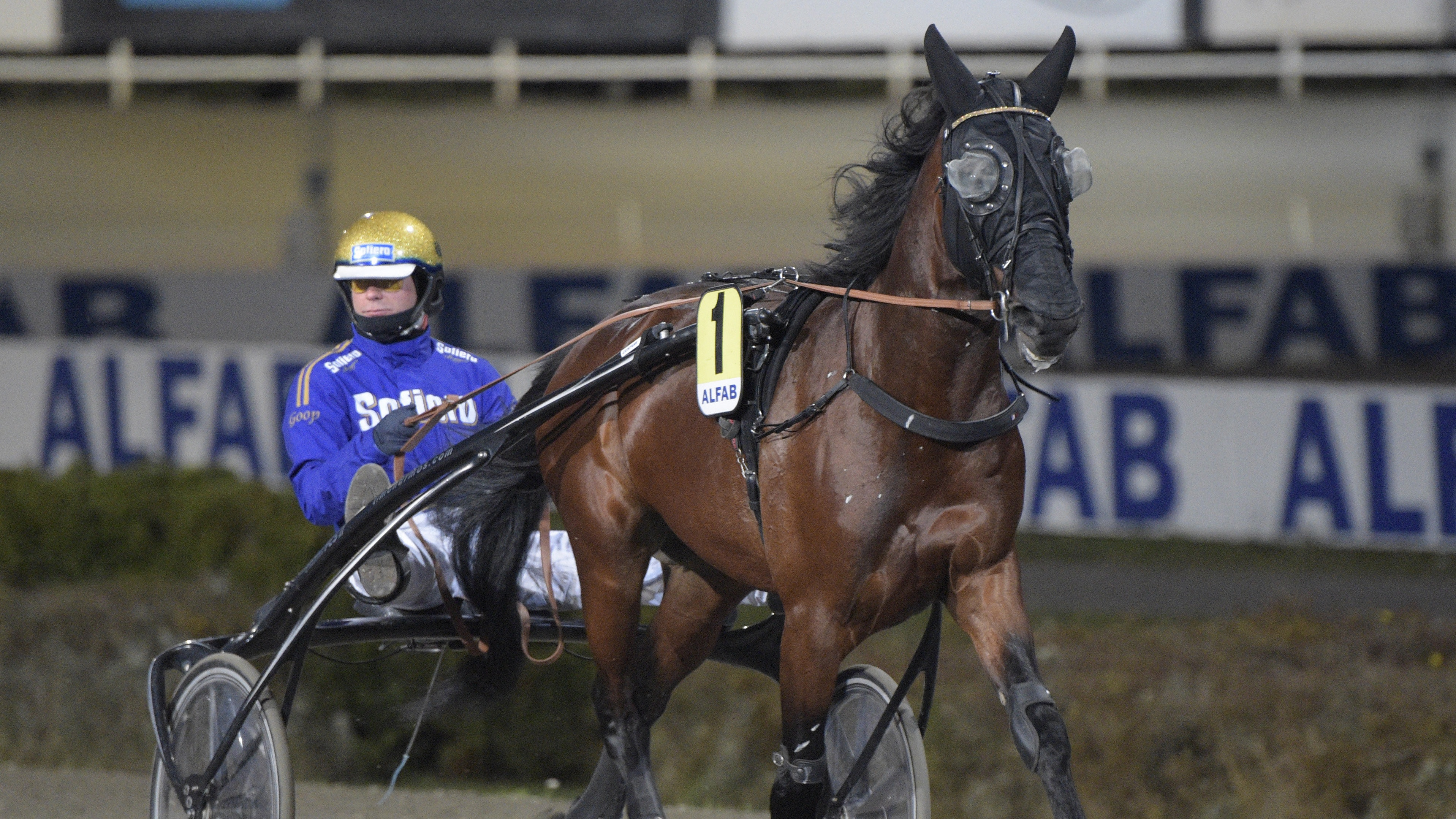 Emil Andersson travtips