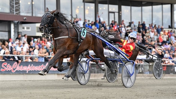 Great Skills m l 7082 3