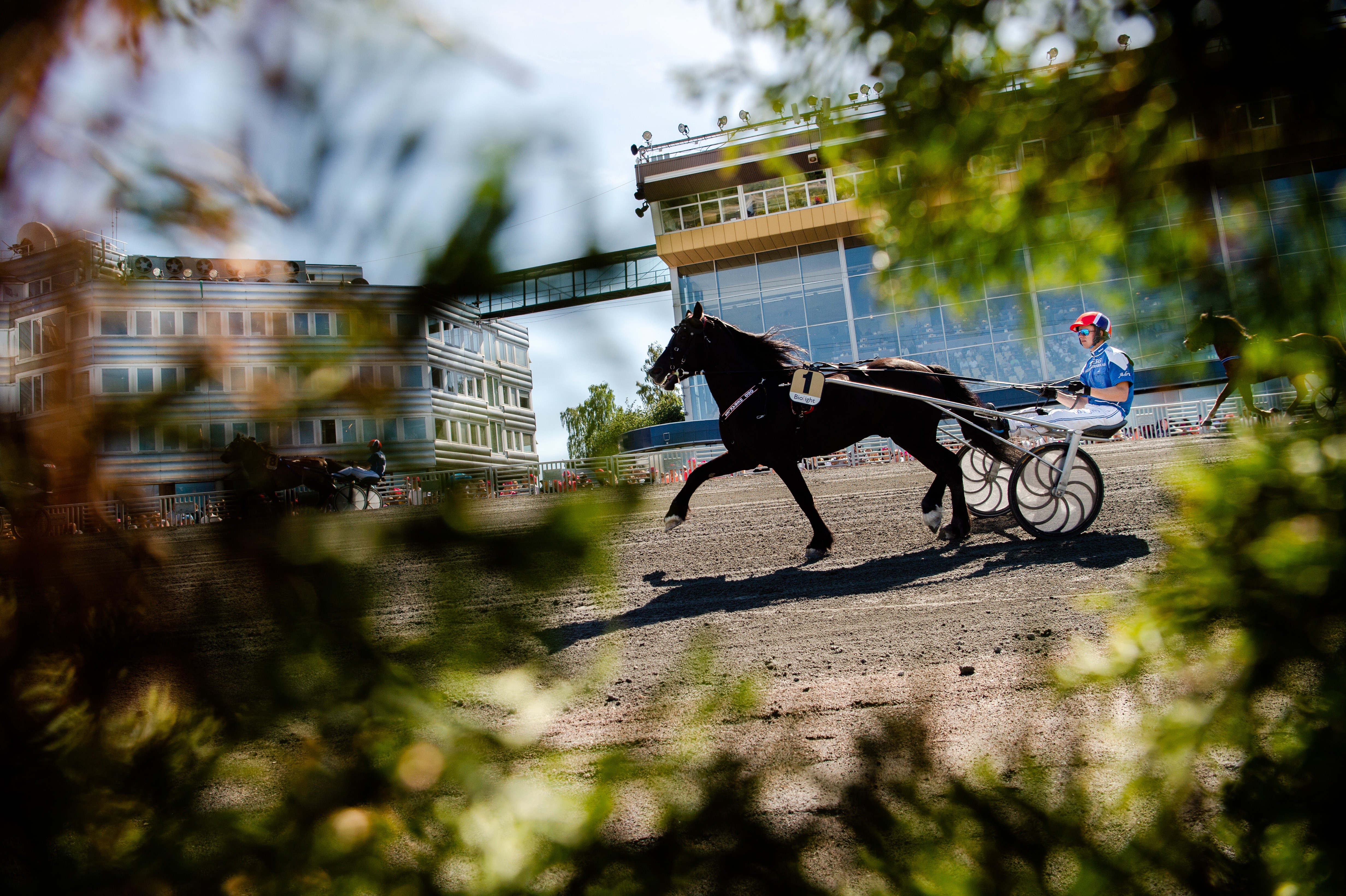 Så går du vidare för att bli en bättre travspelare
