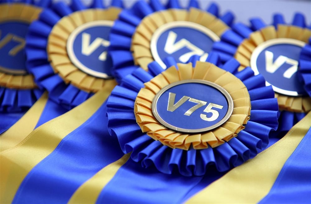 Vad innebär poolspel?