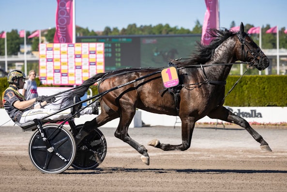 HUSTLE RAIN heat2 forsok