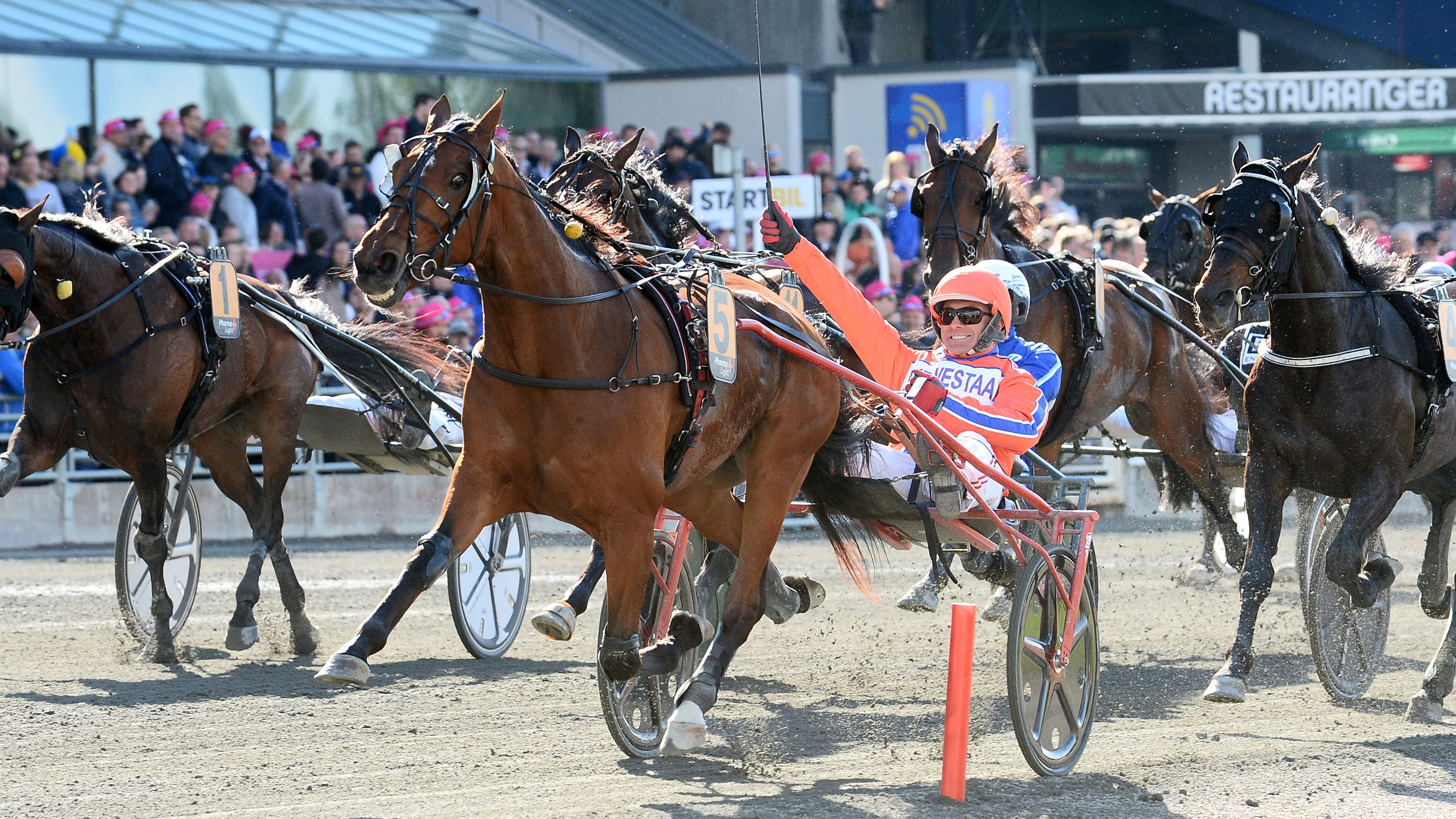 Heart Of Steel mal 46 Cropped