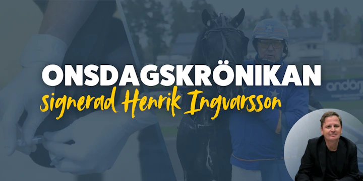 Henrik Ingvarssons kronika 3