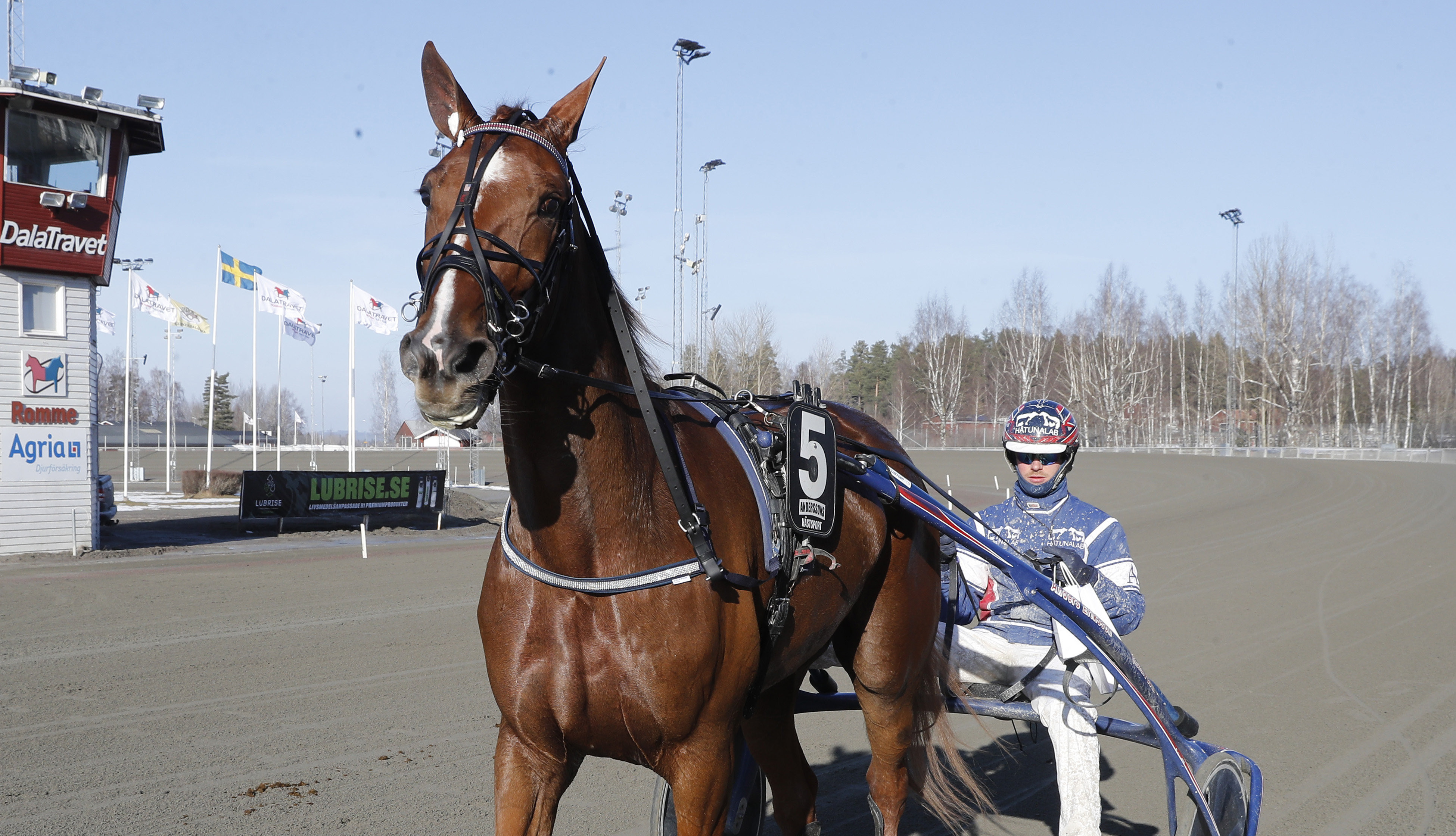 Martin Engström travtips