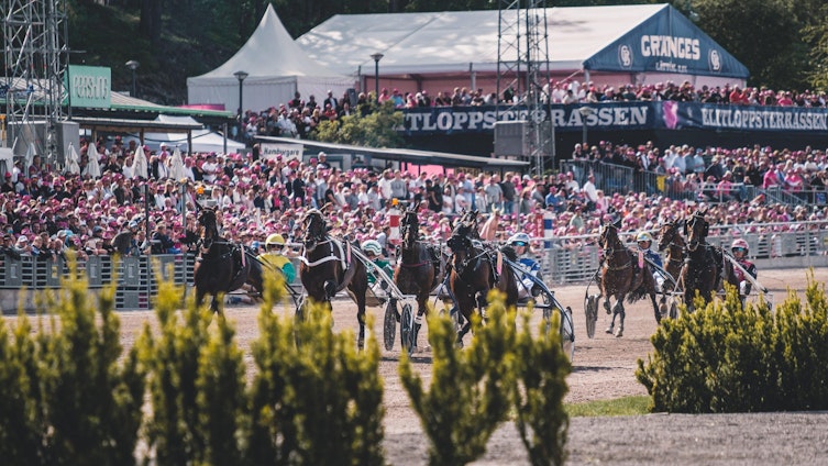 Travtips V75-tips: En sista chans i avslutningen