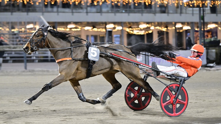 Travtips TIDIGA V85: Idealisk uppgift, trots allt!?