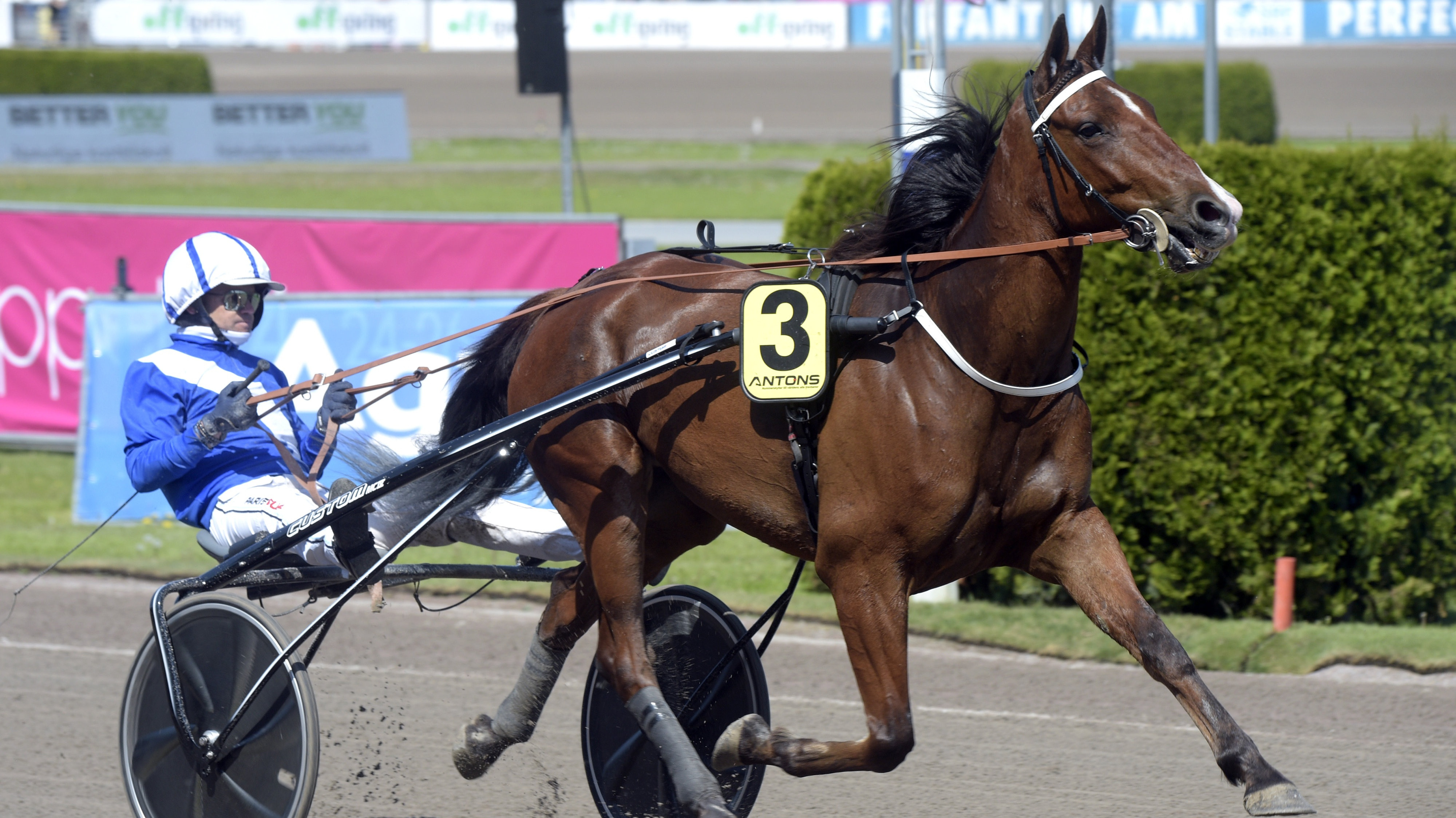 Travtips Jackpottanalys V75 Solvalla - Spiken är bara tuffast!