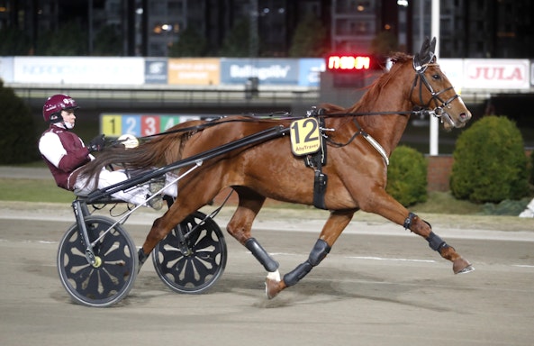 Ideal du Vignac heat 1