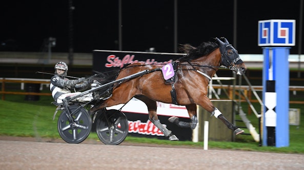 Jackpot Mearas mal 5 Cropped