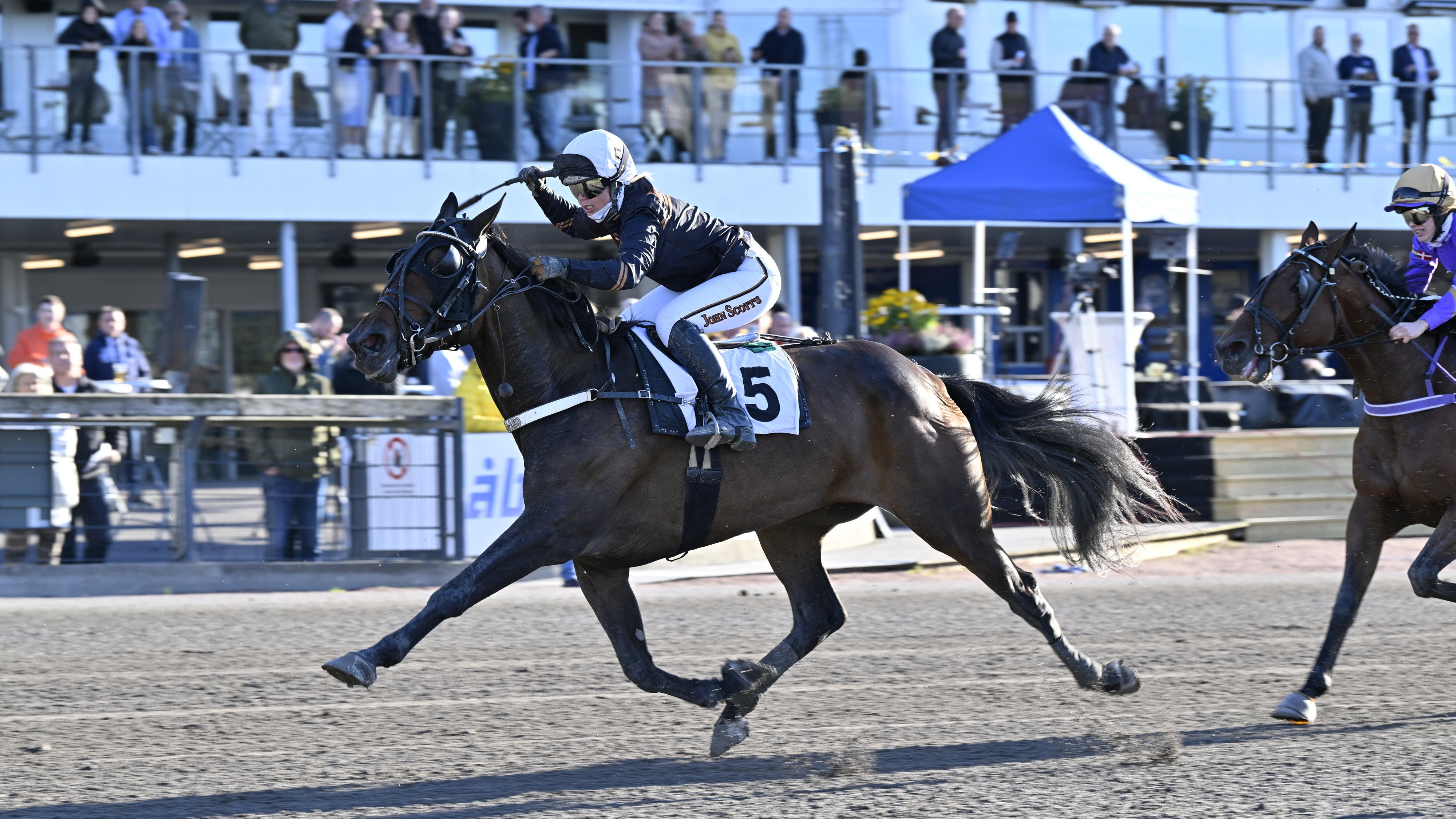 Genomgång av Prix Jules Lemonnier