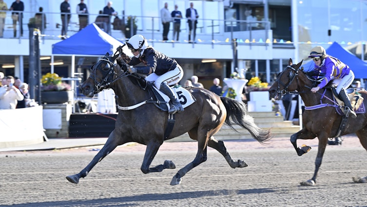 Travtips Vinnarspel: Kollektivet har övertro på favoriten
