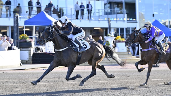 Joy Alissa mal Cropped