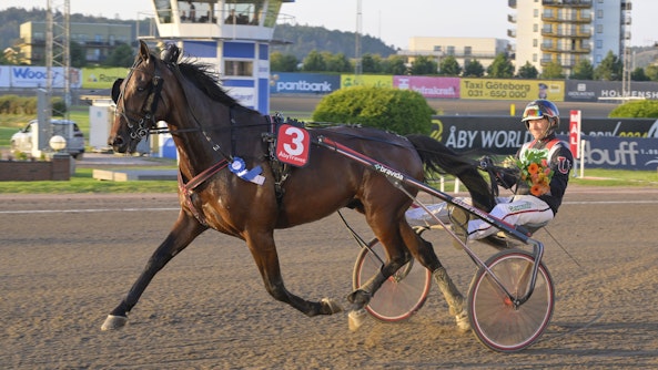 Katmandu Mearas johan untersteiner Cropped