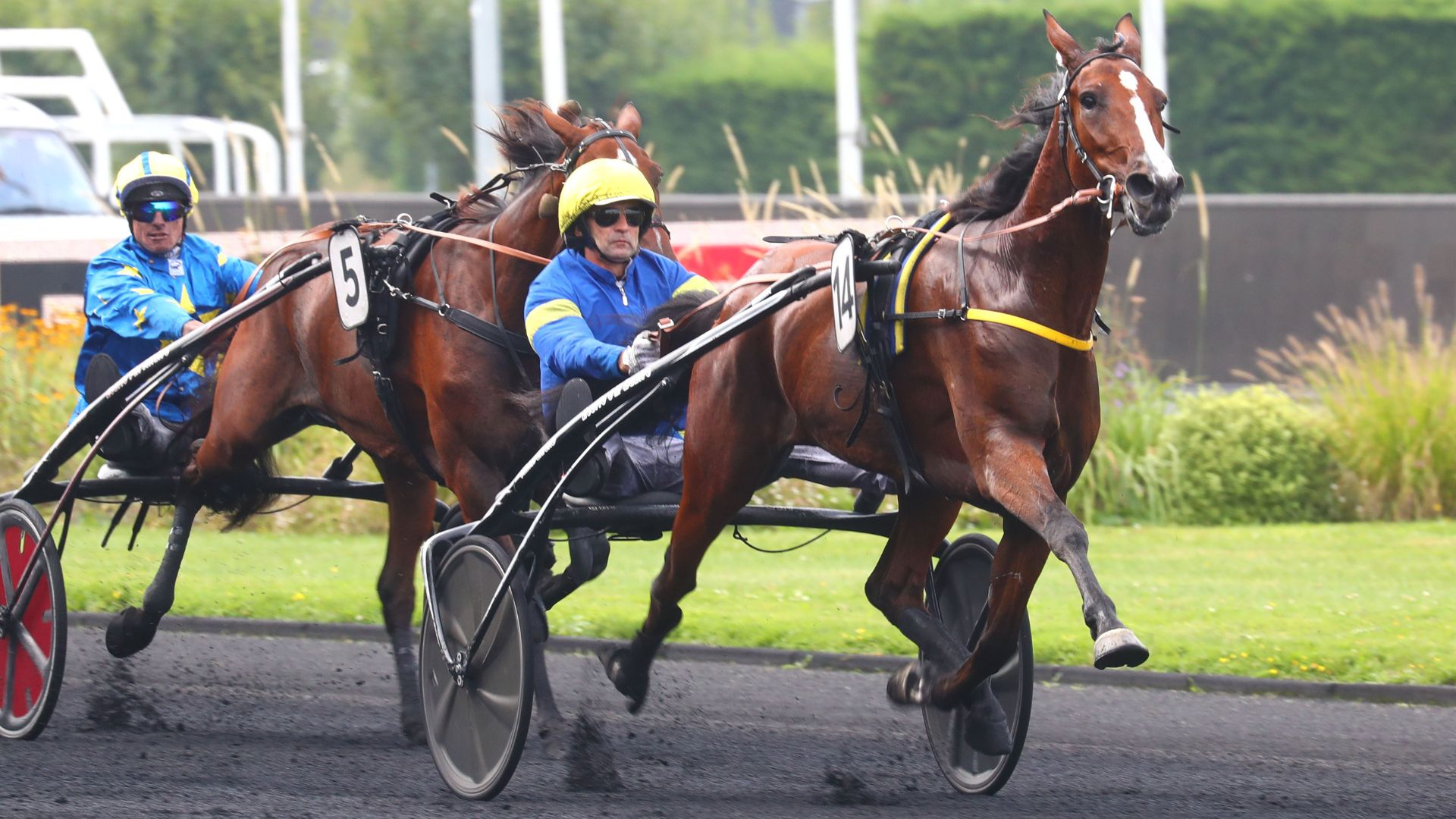 Liza Josselyn scoopdyga