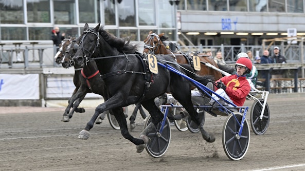 Loxahatchee mal 2 Cropped