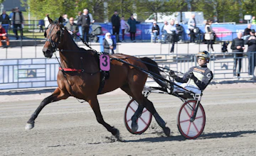 Lozano Di Quattro heat1