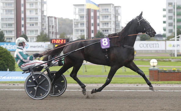 Marabou Brodda heat 1