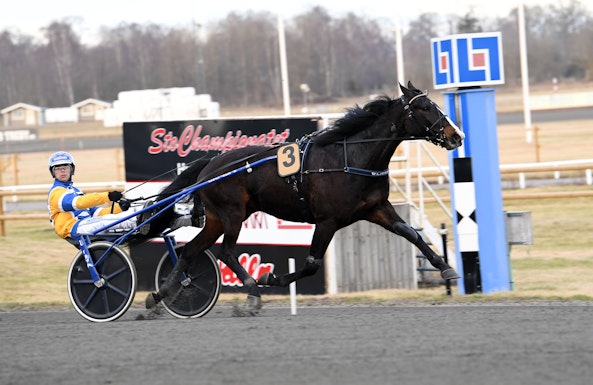 Mellby Jinx mal 570 1