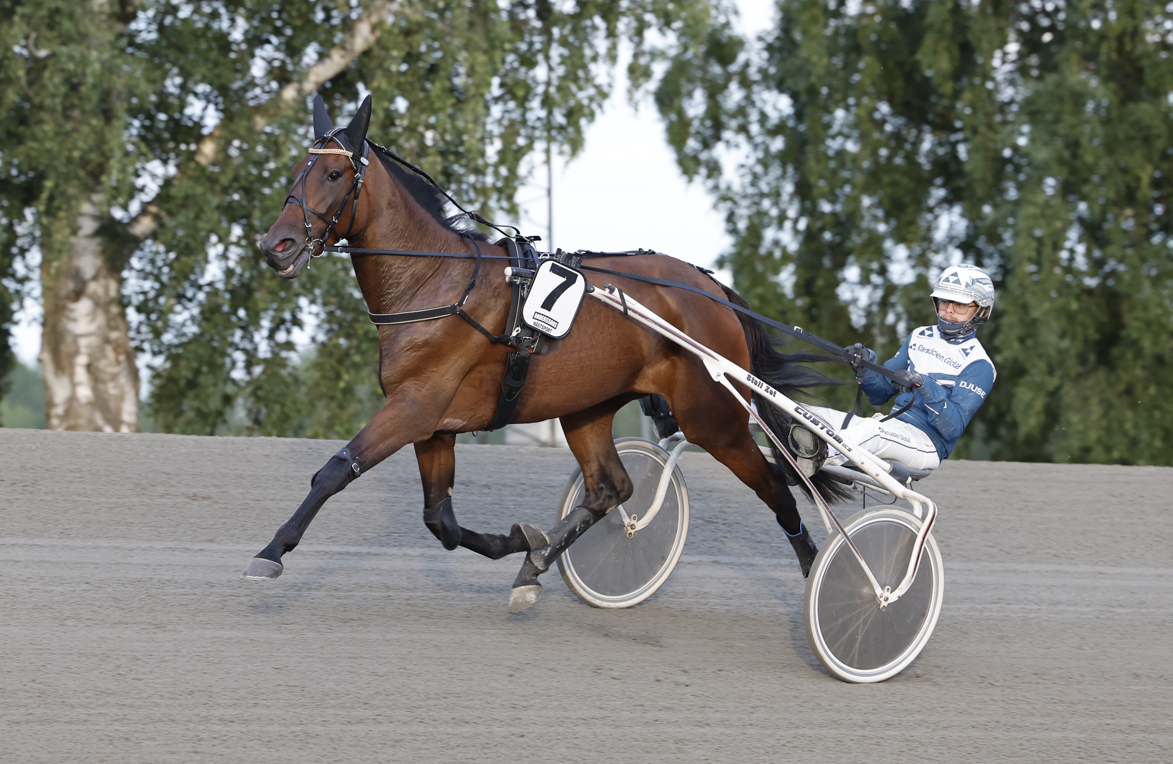 Nightbird heat 1
