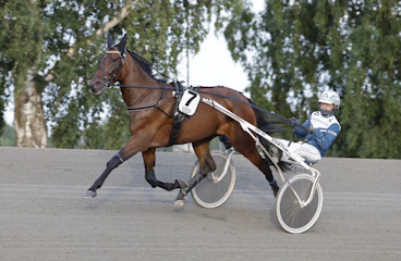 Nightbird heat 1