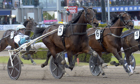 Olly Haleryd upplopp 2