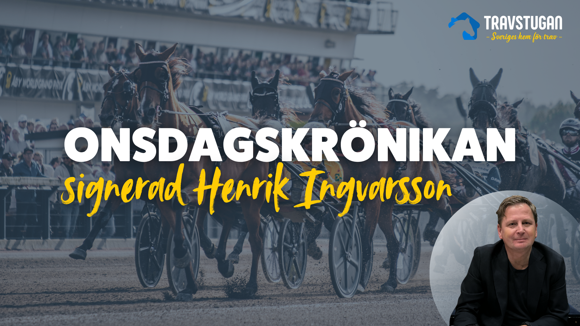 Åsa Elmroths ord provocerar – och symboliserar