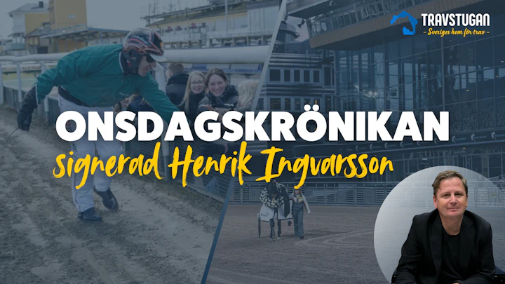 Onsdagskronikan 6
