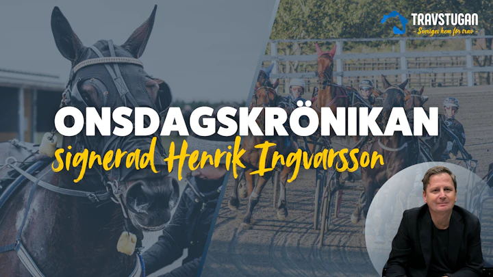 Onsdagskronikan 6