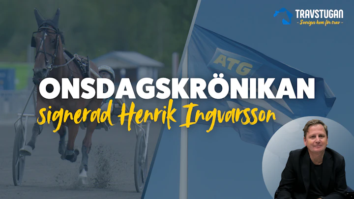 Onsdagskronikan 7